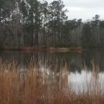 Natural Gathering Grounds