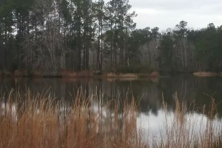 Natural Gathering Grounds