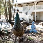 Summerville Lakes RV Park and Campground