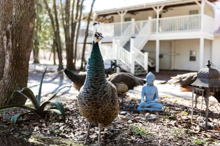 Summerville Lakes RV Park and Campground