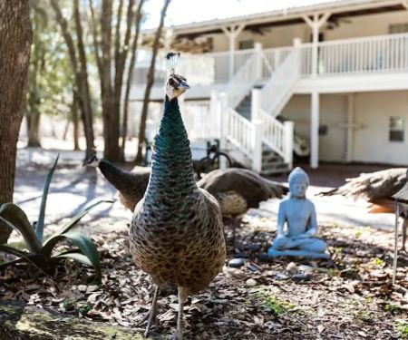 Summerville Lakes RV Park and Campground