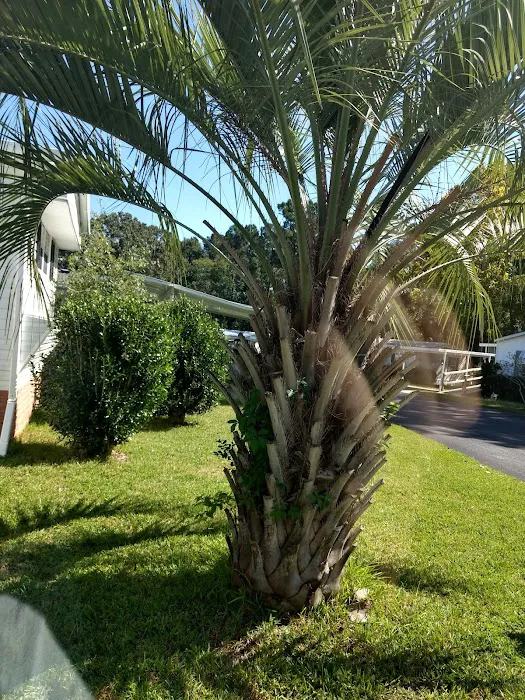 Crestview Mobile Home Park 3