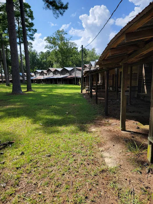 Indian Field Campground 2