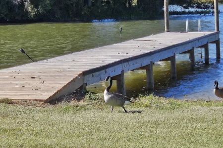 Logan Martin Lake RV Resort
