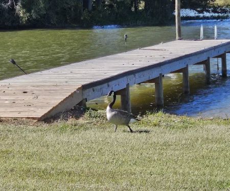 Logan Martin Lake RV Resort