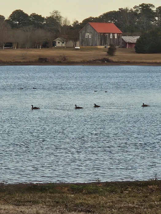 Logan Martin Lake RV Resort 8