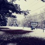 Knox Park Mobile Home Community