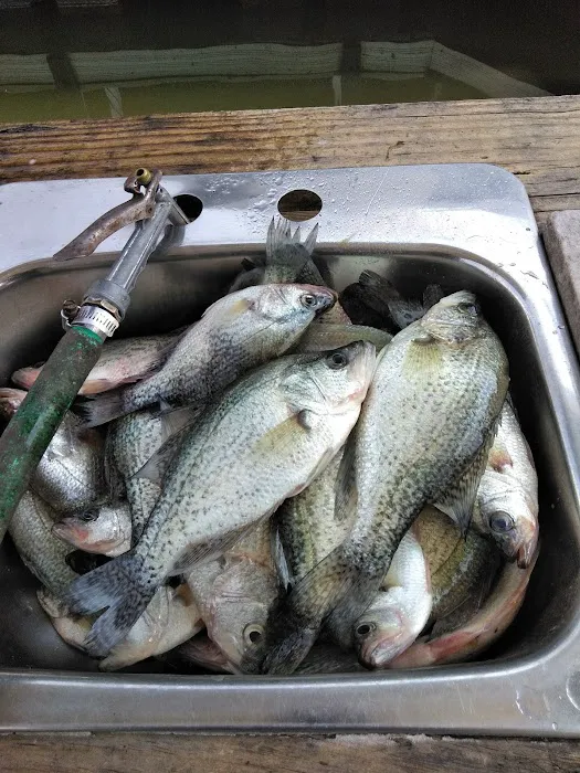 Bay Springs Campground 5