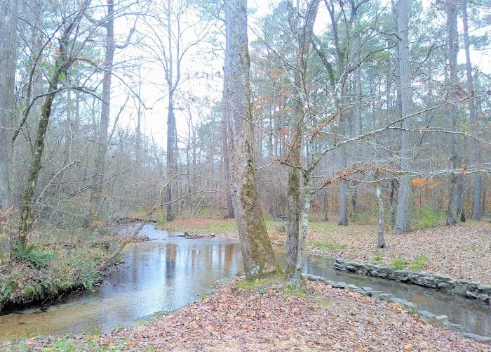 Cedar Break RV Park & Campground 6