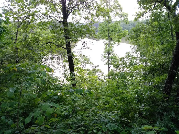 Salacoa Creek Park 2