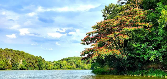 Salacoa Creek Park 7