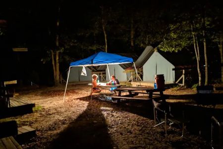 Campsite 8 (Mountain Lion)