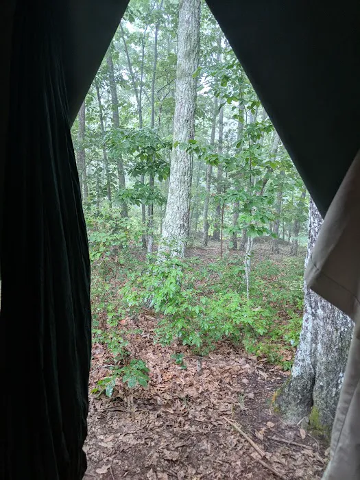 Campsite 8 (Mountain Lion) 2