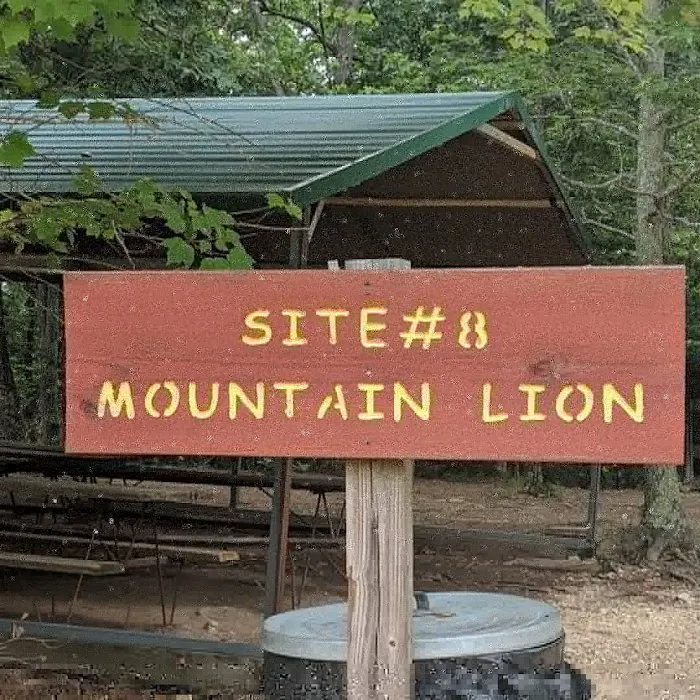 Campsite 8 (Mountain Lion) 5