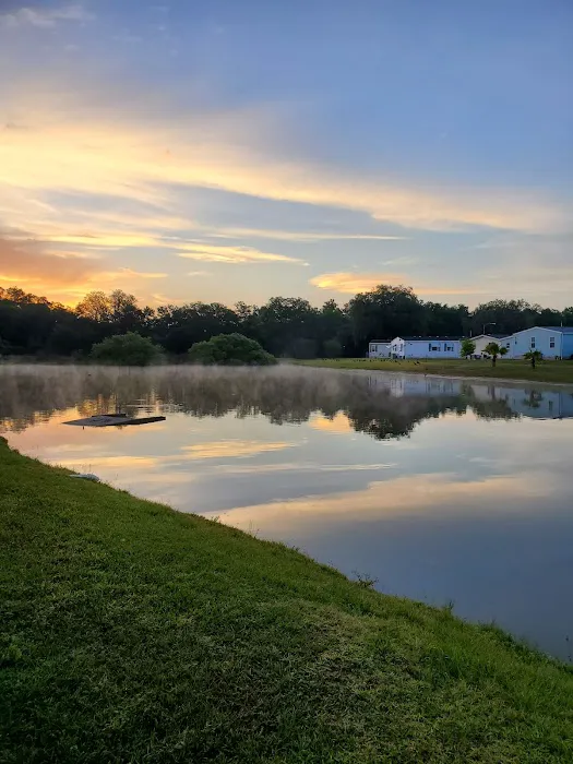 Forest Lake Village 10