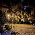 Killarney Mobile Homes & RV Court