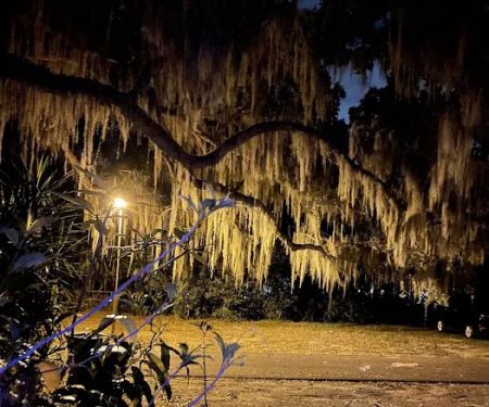 Killarney Mobile Homes & RV Court