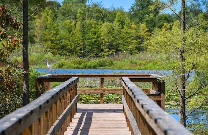 Orchid Lake RV Resort 7