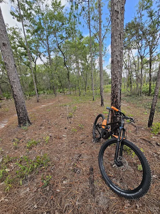 Back Country Campsite #3 1