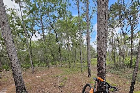 Back Country Campsite #3