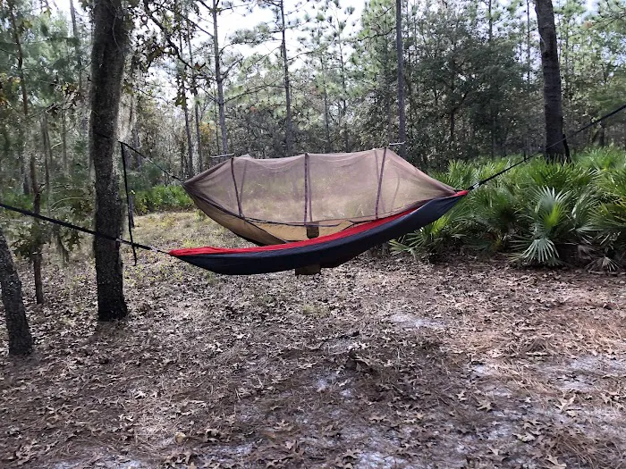 Back Country Campsite #3 3