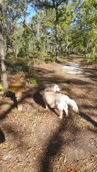 Back Country Campsite #3 6