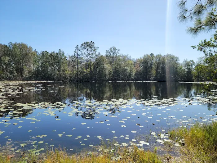 Cypress Creek Preserve 2