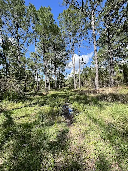 Cypress Creek Preserve 1