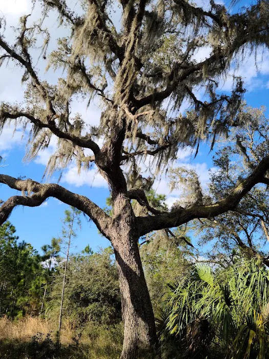 Cypress Creek Preserve 5