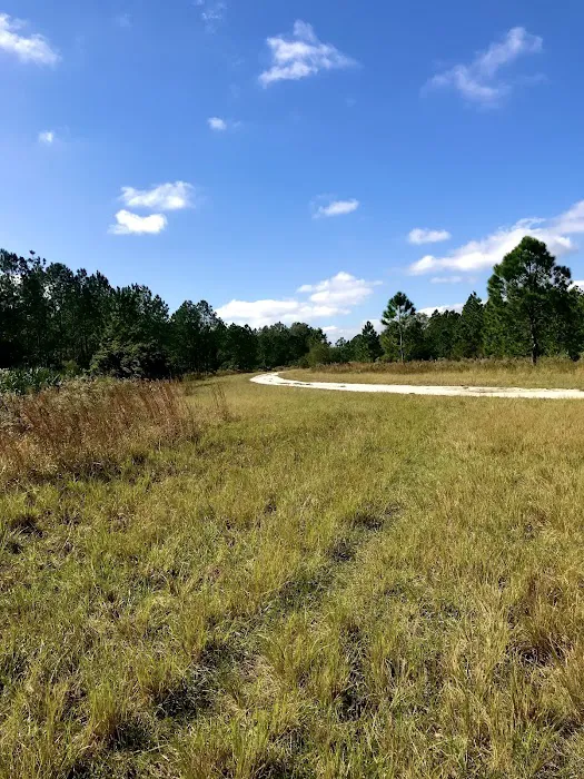 Cypress Creek Preserve 7