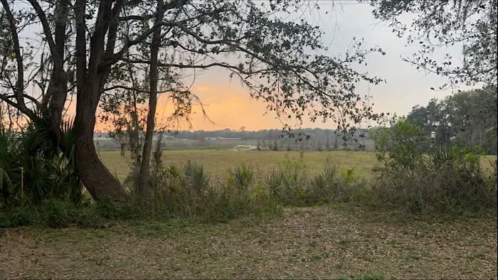 Zephyrhills, Fl 1