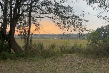 Zephyrhills, Fl