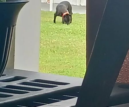 Sunnyside Mobile Home Park