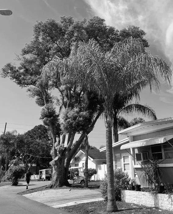 Betmar Acres 5