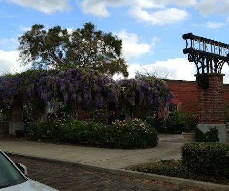 Fox Mountain Camp and Artist Retreat