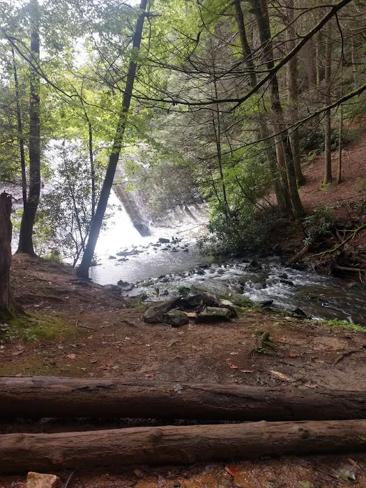 Fox Mountain Camp and Artist Retreat 12