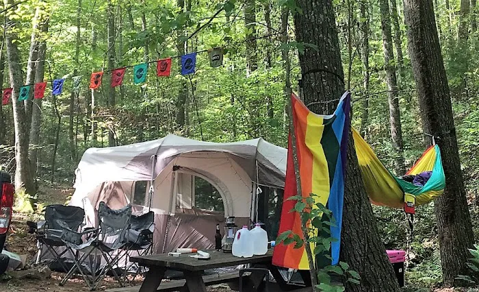 Fox Mountain Camp and Artist Retreat 14