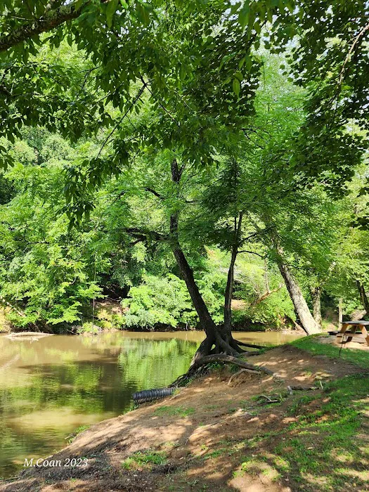 Fish Trap Park 9