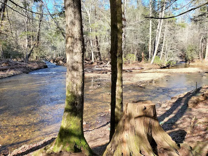 Cooper Creek USFS Campground & Recreation Area 11