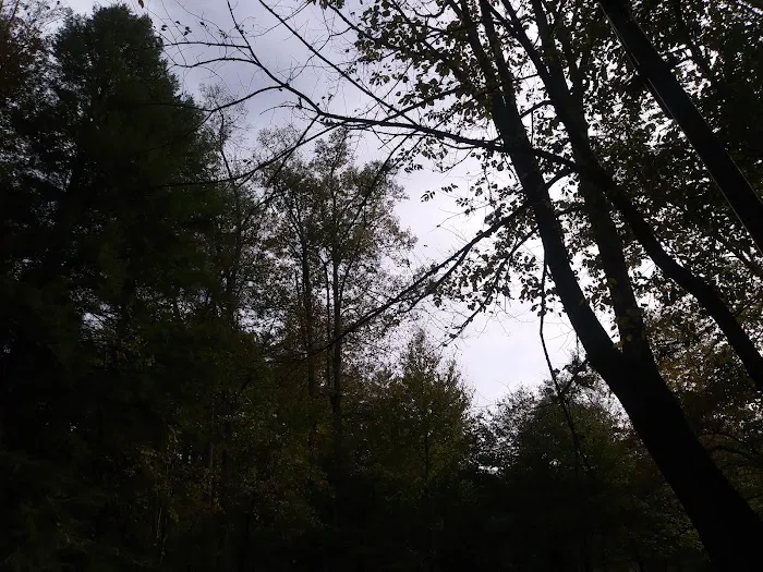Cooper Creek Recreation Area 4