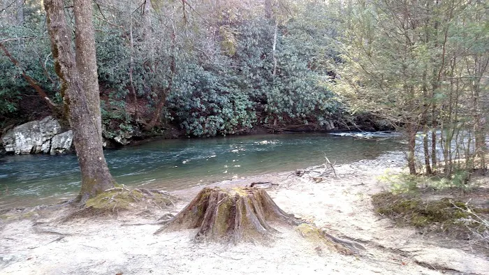 Cooper Creek Recreation Area 6