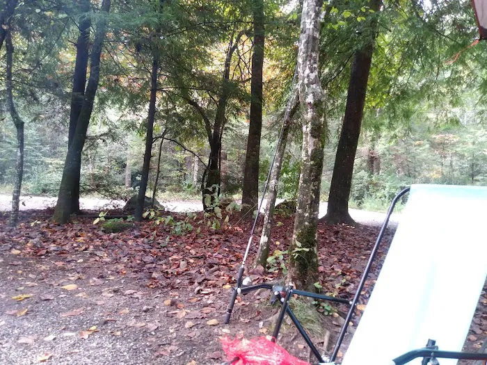Cooper Creek Recreation Area 7