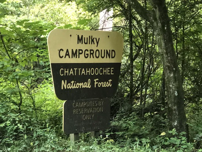 Cooper Creek Recreation Area 8