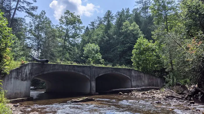 Cooper Creek Recreation Area 10
