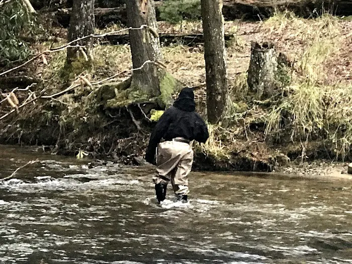 Cooper Creek Recreation Area 9