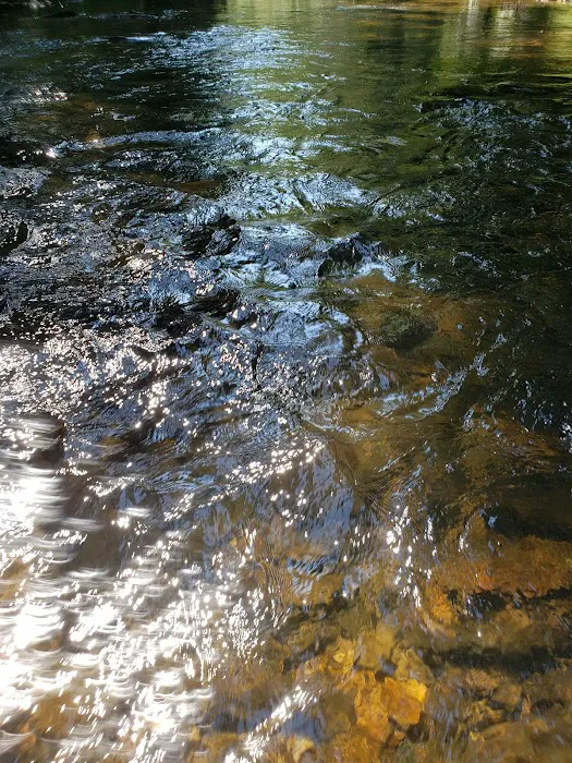 Cooper Creek Recreation Area 11