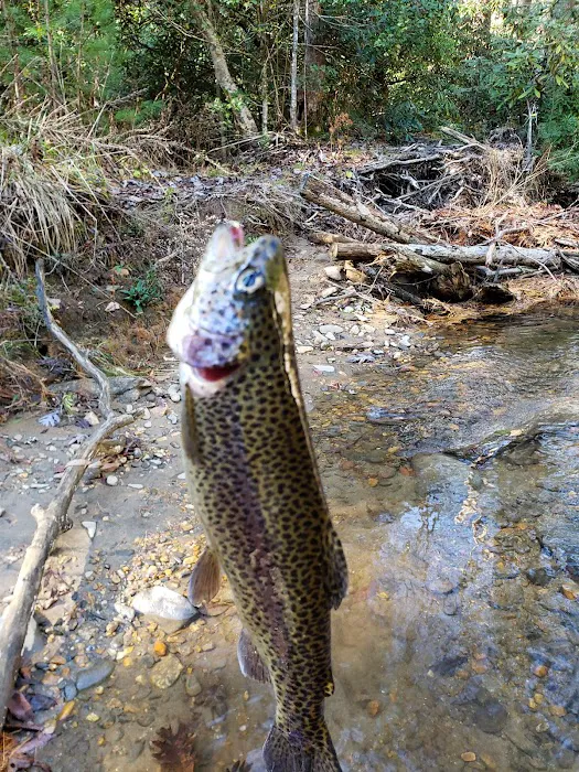 Cooper Creek Recreation Area 13