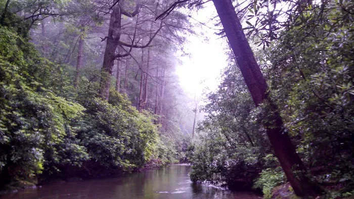 Cooper Creek Recreation Area 16