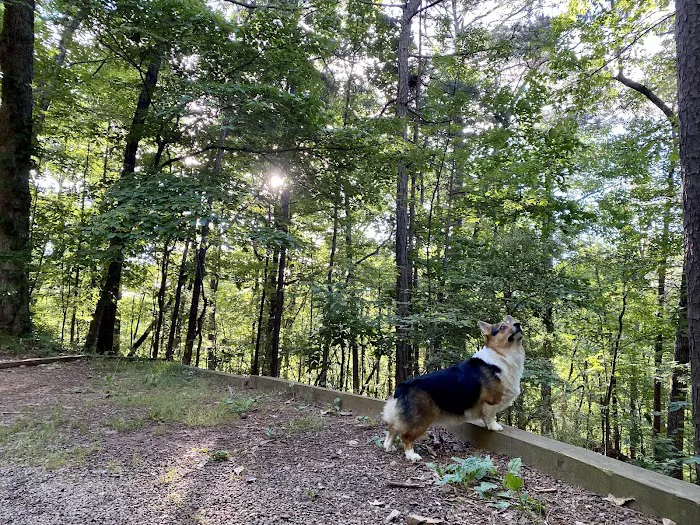 Doll Mountain Campground 7