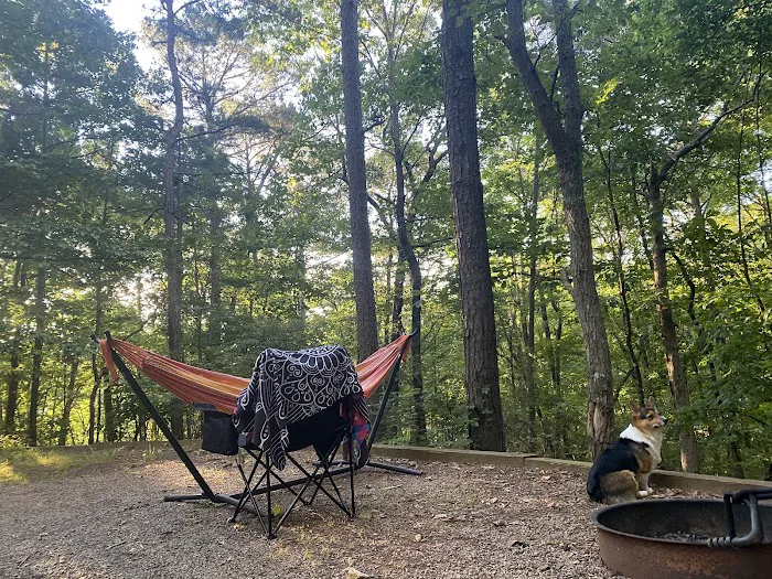 Doll Mountain Campground 9